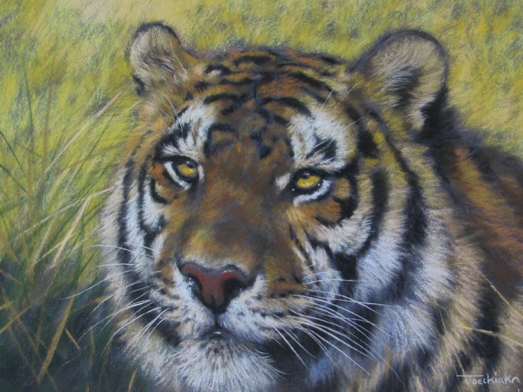 Appraisal: JOEL KIRK - TIGER Pastel signed x x cm