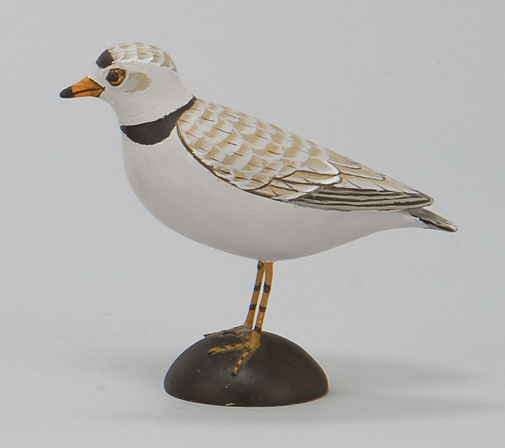 Appraisal: LIFE-SIZE PIPING PLOVER By James Lapham of Dennisport Massachusetts Mounted