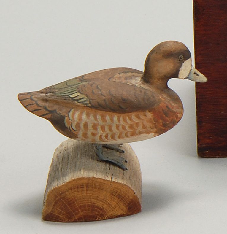 Appraisal: MINIATURE BLUEBILL HEN By J Ahearn Mounted on a wooden