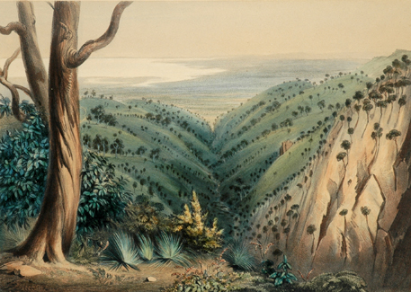 Appraisal: George French Angas - View From Mount Lofty Looking Over