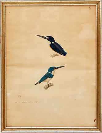 Appraisal: Jean Gabriel Pretre France - TWO STUDIES OF BIRDS FOR