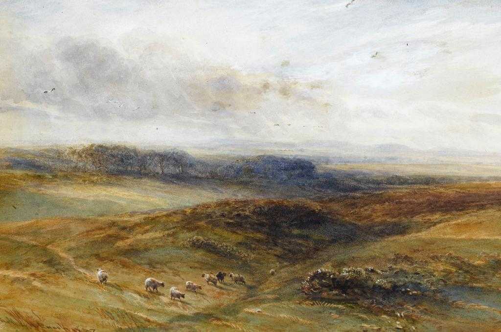 Appraisal: ARTHUR HENRY ENOCK EXH - SHEEP ON A MOOR signed