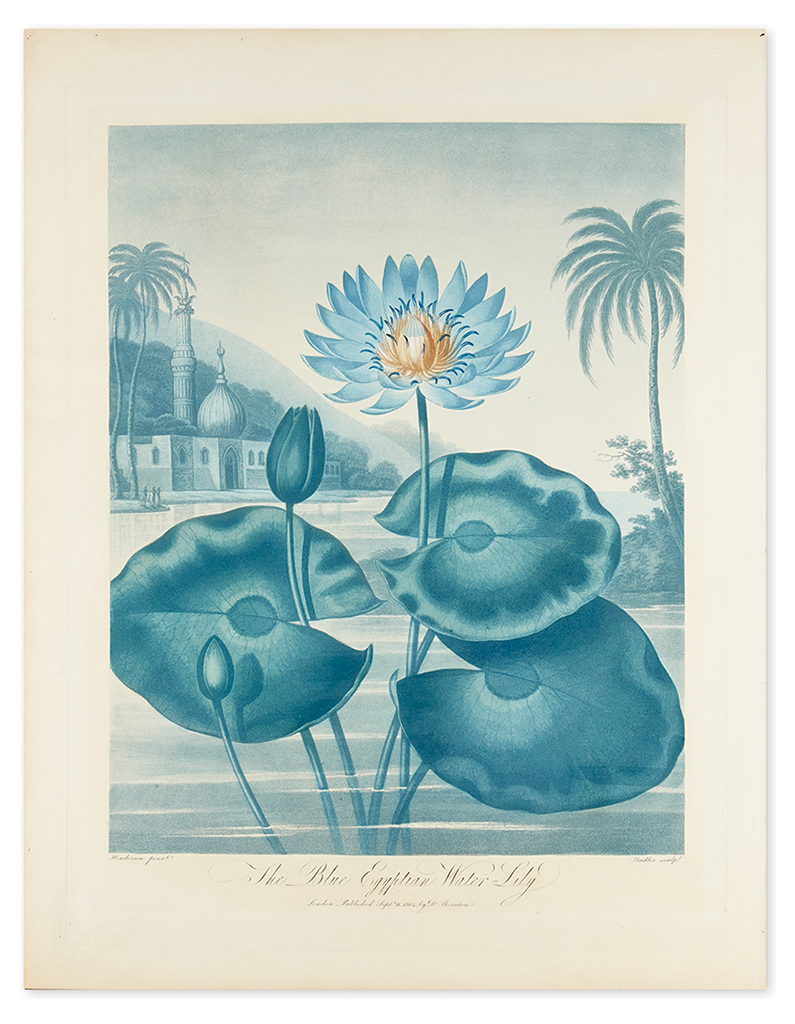 Appraisal: THORNTON ROBERT JOHN The Blue Egyptian Water-Lily Hand-finished color-printed aquatint