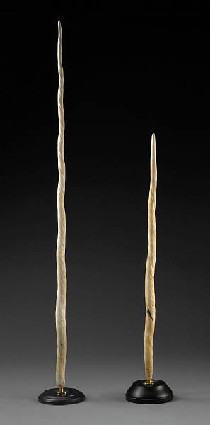 Appraisal: Narwhal Tusk A long slender narwhal tusk having an engraved