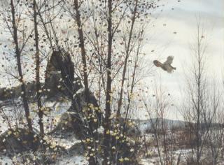 Appraisal: David A Hagerbaumer Grouse signed and dated David Hagerbaumer lower