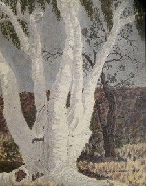 Appraisal: Rex Battarbee - Ghost Gum watercolour on paper on board