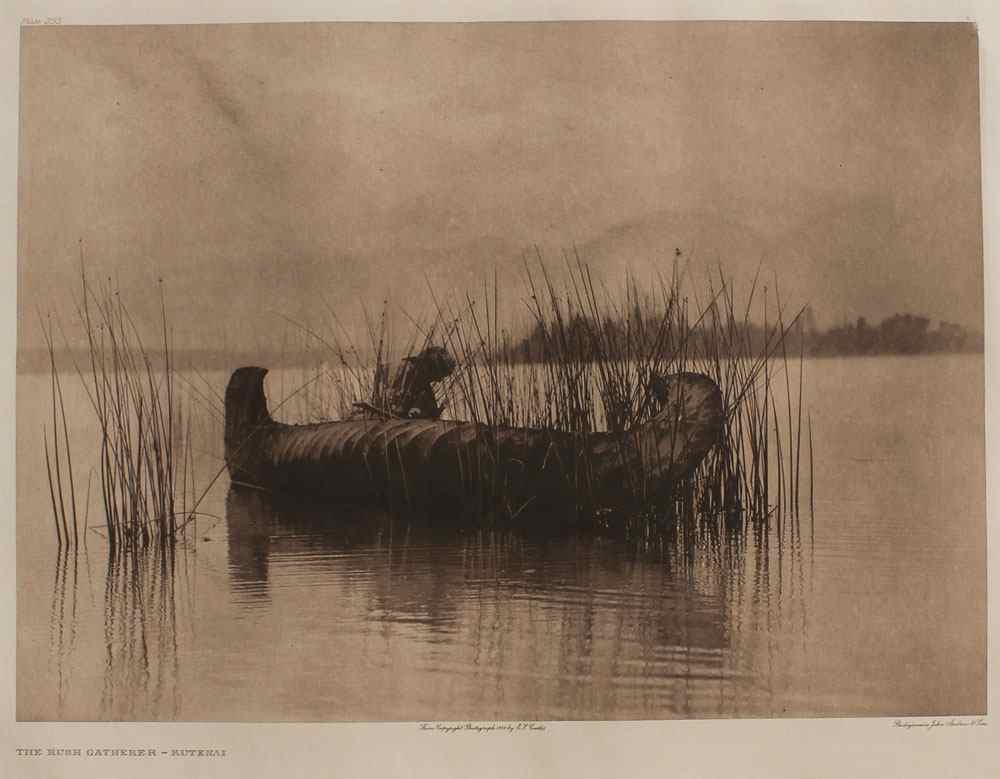 Appraisal: CURTIS Edward American - ''The Rush Gatherer-Kutenai'' Photogravure '' x