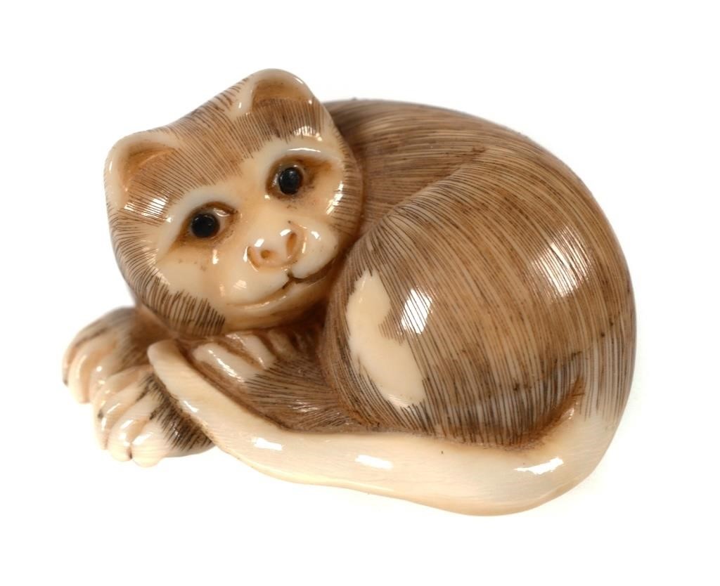 Appraisal: Japanese carved ivory cat netsuke signed on back foot Approx