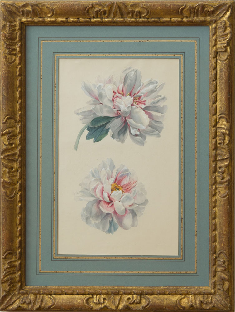 Appraisal: FRENCH SCHOOL WHITE PEONIES Watercolor and gouache on paper unsigned