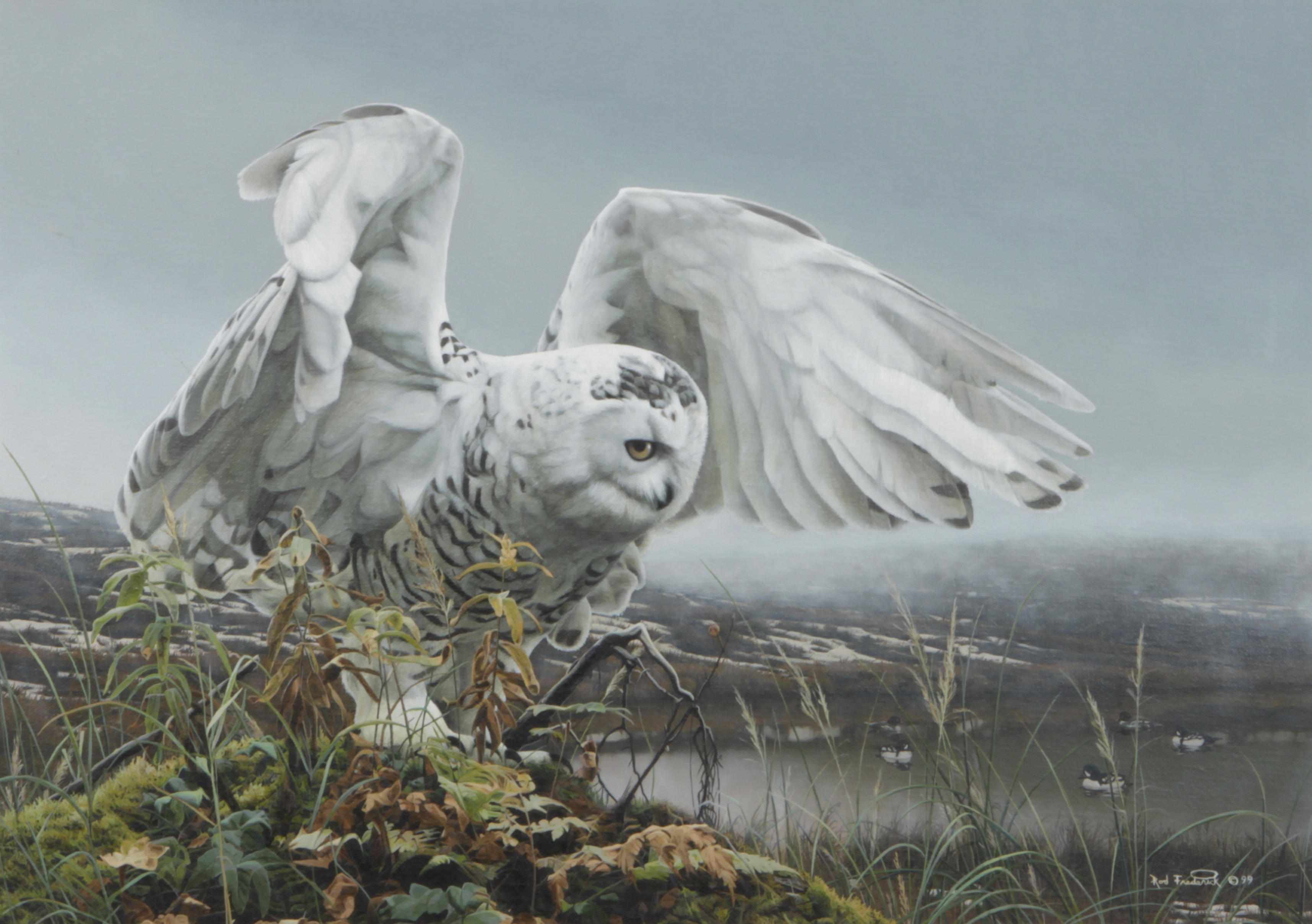 Appraisal: Rod Frederick American born White Owl about to take flight