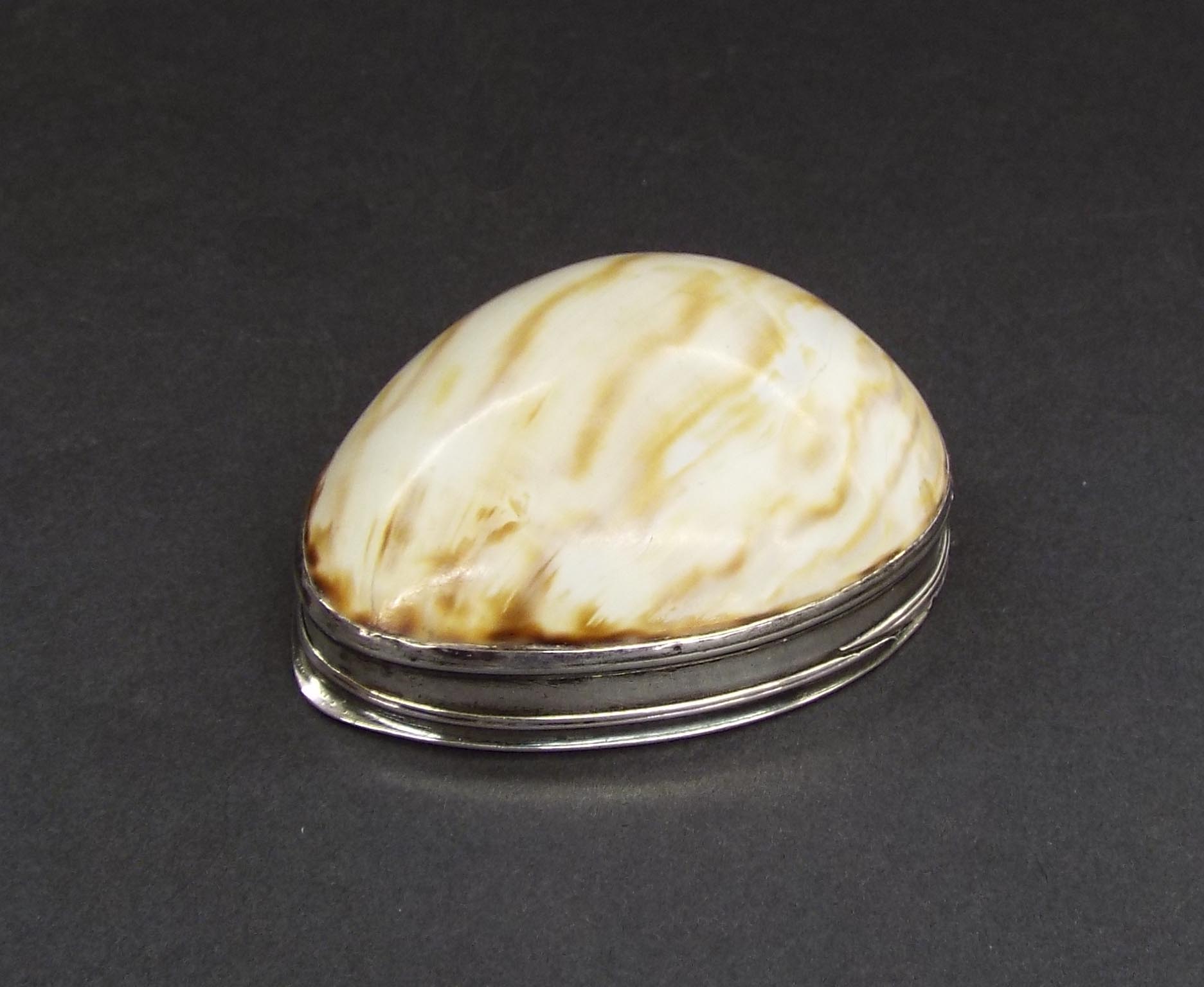 Appraisal: White metal mounted cowrie shell snuff mull engraved with a