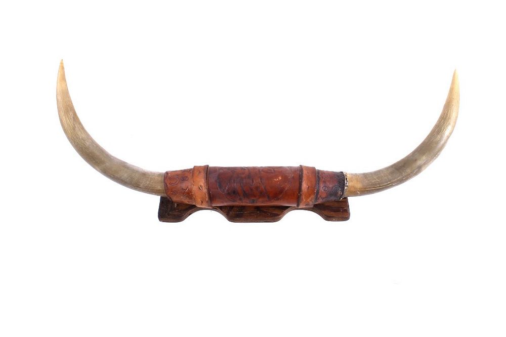 Appraisal: Montana Leather Wrapped Steer Horn Wall Mount For your consideration