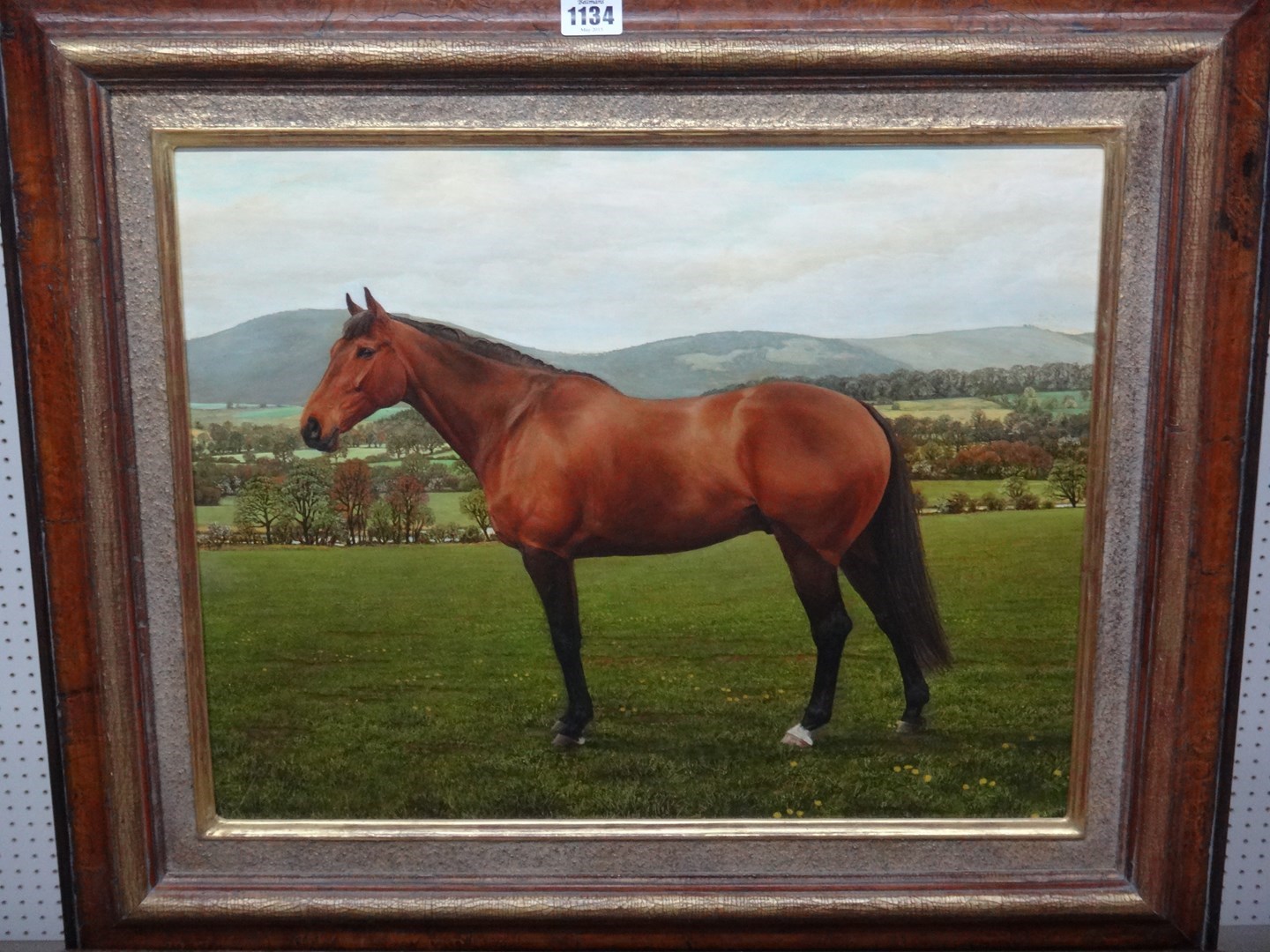 Appraisal: Jessica Brown th century 'Declan MacCavity' a bay horse in