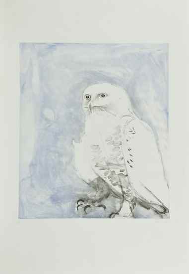 Appraisal: Elisabeth Frink - Snowy Owl W etching with aquatint printed