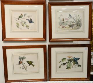 Appraisal: Set of hand colored bird study lithographs from America Album