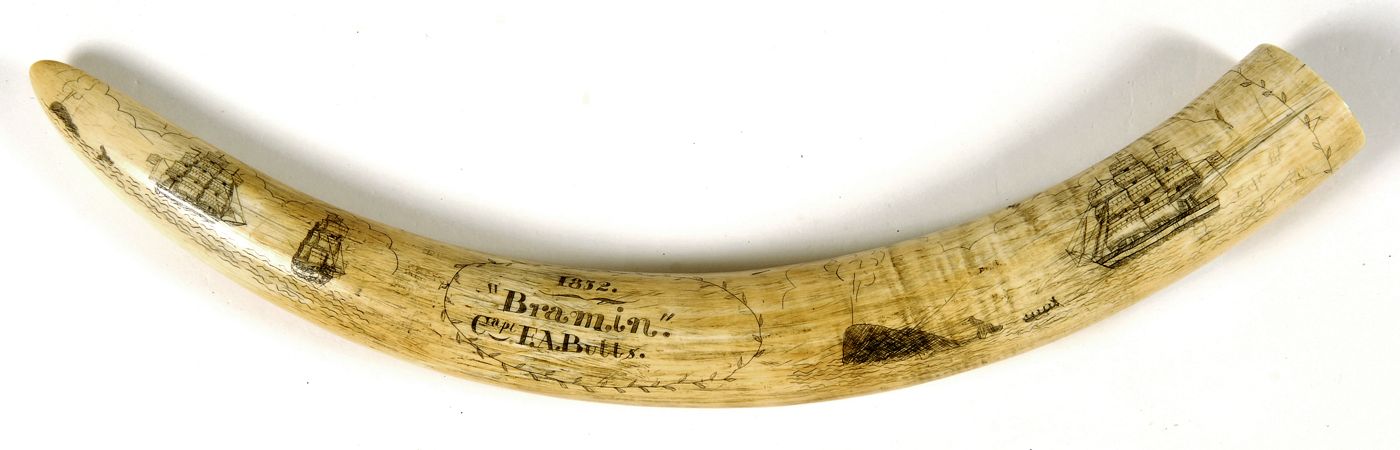 Appraisal: ENGRAVED ELEPHANT'S TUSK th CenturyDepicting several whale ships and whales