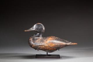 Appraisal: Wigeon Hen by Lee Dudley Wigeon Hen Lee Dudley -