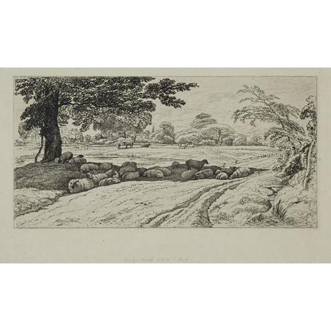 Appraisal: John Linnell - SHEEP RESTING British Etching on paper laid