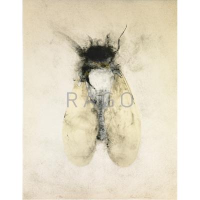 Appraisal: Nancy Randall American b Two works of art Cicada Lithograph