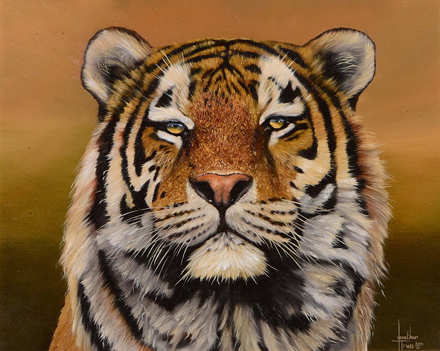 Appraisal: JONATHAN TRUSS b Tiger Head signed and dated oils on