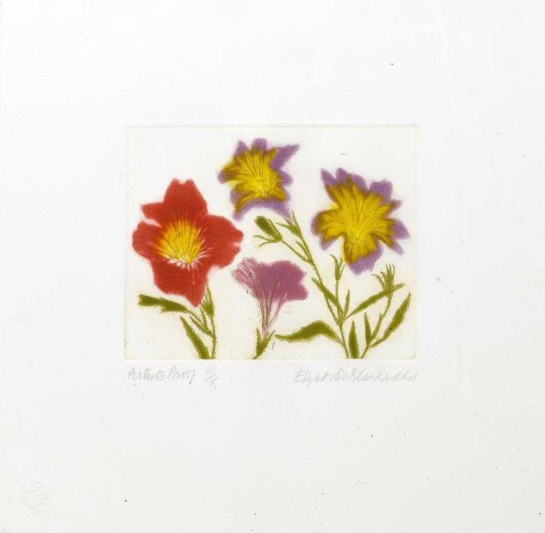 Appraisal: DAME ELIZABETH VIOLET BLACKADDER DBE RA RSA RSW - SALPIGLOSSIS