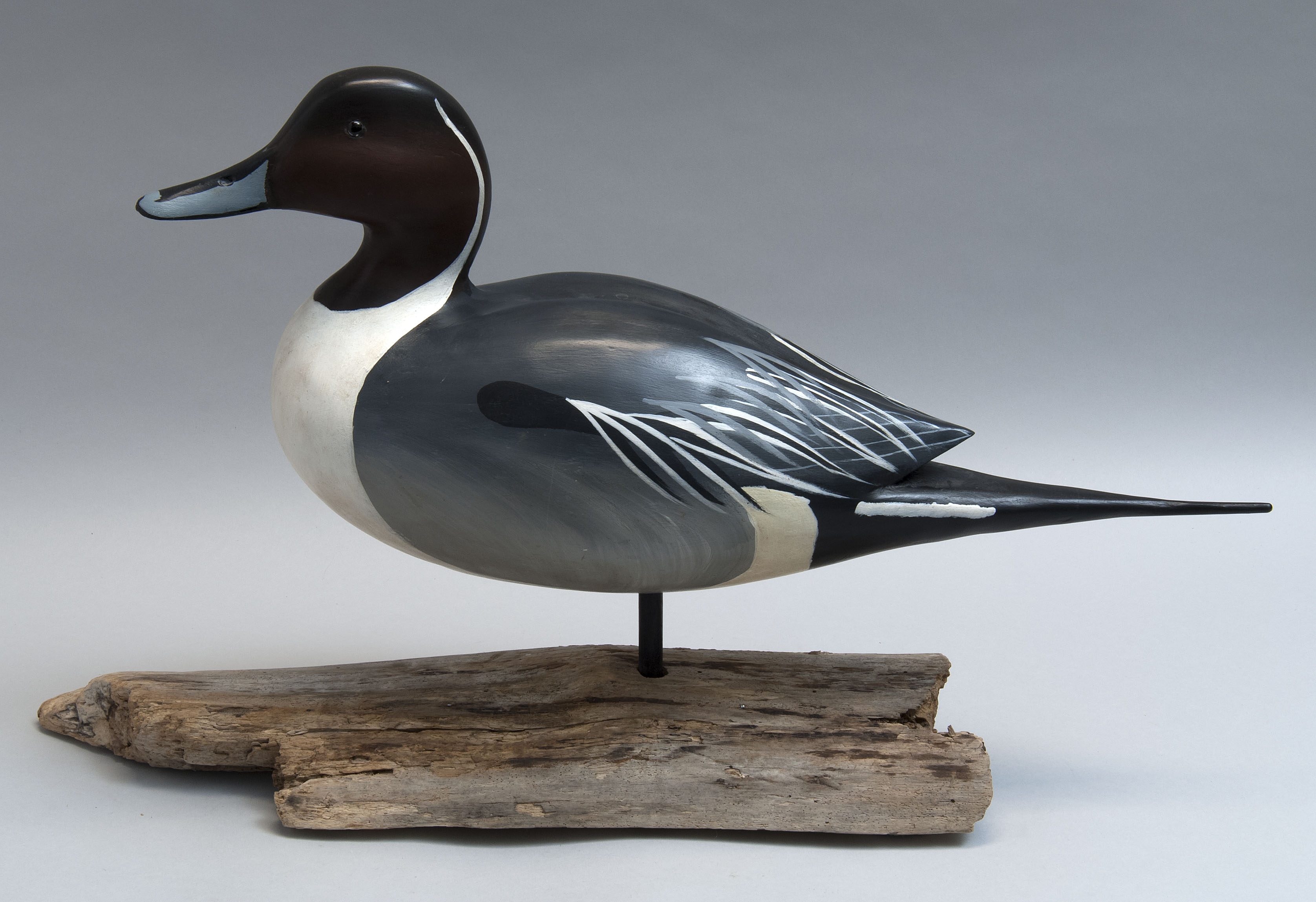 Appraisal: PINTAIL DRAKE FIELD DECOY th CenturyBy Bill Goenne of California