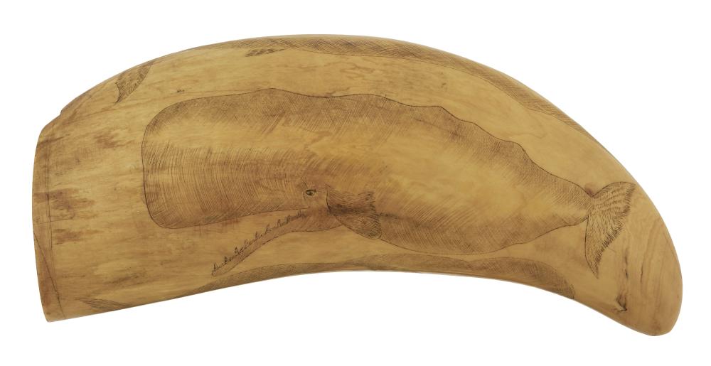 Appraisal: SCRIMSHAW WHALE'S TOOTH DEPICTING SPECIES OF WHALES DATED LENGTH SCRIMSHAW