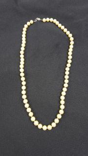 Appraisal: k White Gold Pearl Necklace k White Gold Pearl Necklace