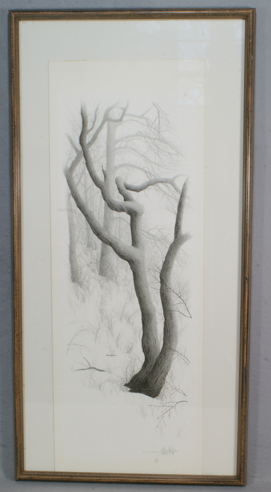 Appraisal: Franklin Galambos American b pencil drawing Rose Hips and Barberries