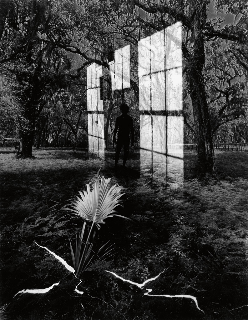 Appraisal: JERRY UELSMANN - Untitled photomontage Toned silver print x inches