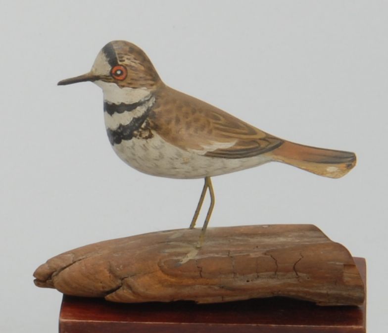 Appraisal: MINIATURE KILLDEER By Crowell Mounted on a driftwood base