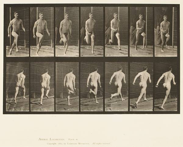 Appraisal: Eadweard Muybridge British - from Animal Locomotion Pl - Two