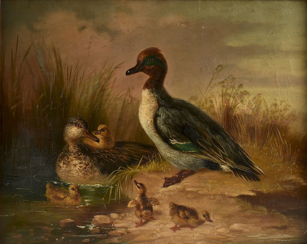 Appraisal: MUNICH SCHOOL th Century A PAINTING Green Winged Teal Duck