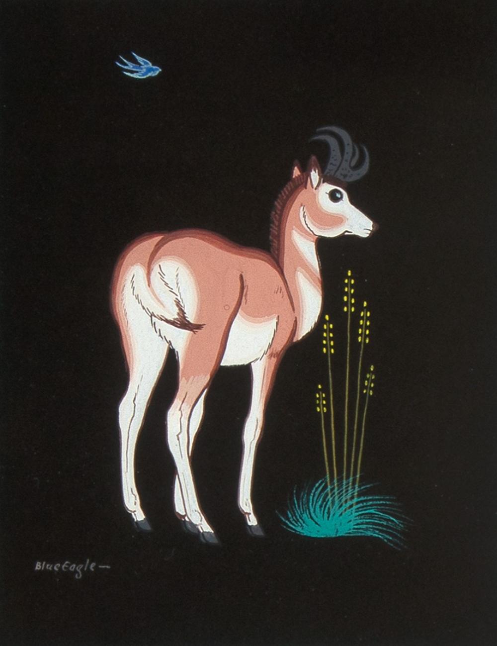 Appraisal: ACEE BLUE EAGLE ANTELOPEAcee Blue Eagle Muscogee - Antelope gouache