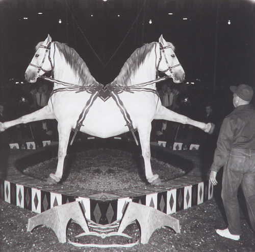 Appraisal: Weegee Arthur Fellig Austrian-American - The Incredible Dancing Horse c