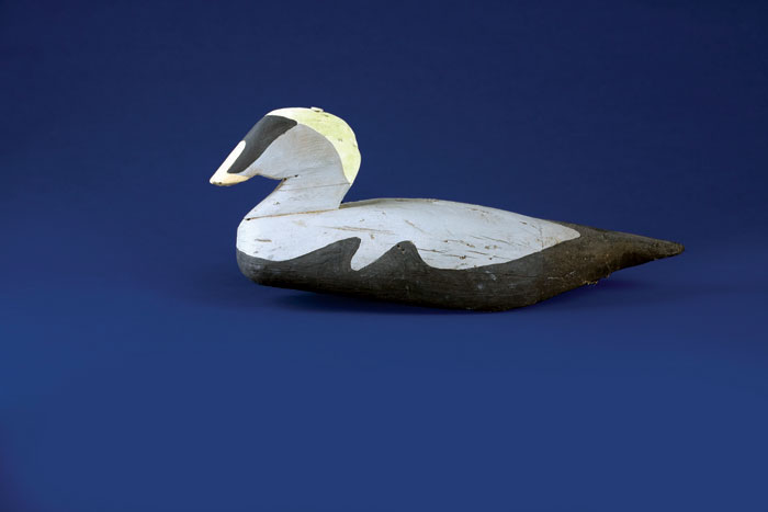 Appraisal: EIDER DRAKE DECOY The carved painted body tagged on the