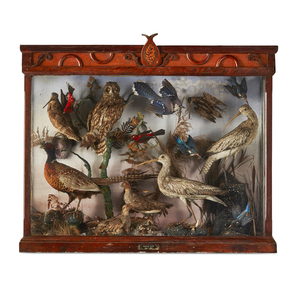 Appraisal: VICTORIAN CASED TAXIDERMY BIRD GROUP DIORAMA TH CENTURY including a