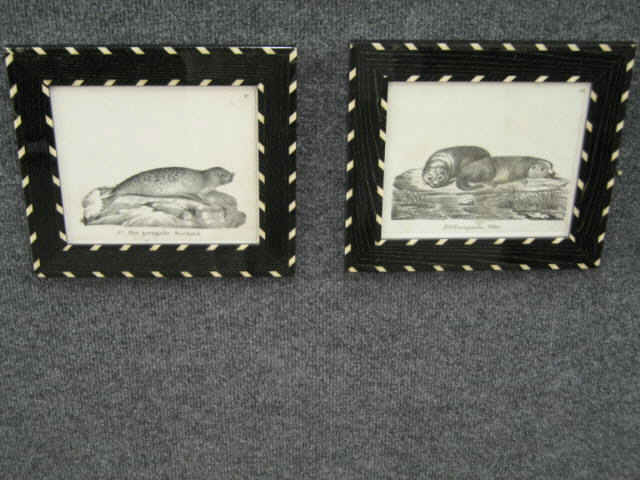 Appraisal: Set of Early Animal Engravings in fine ebony frames images