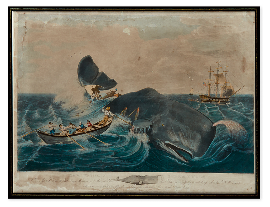 Appraisal: WHALING Page William Hill J engraver Capturing a Sperm Whale