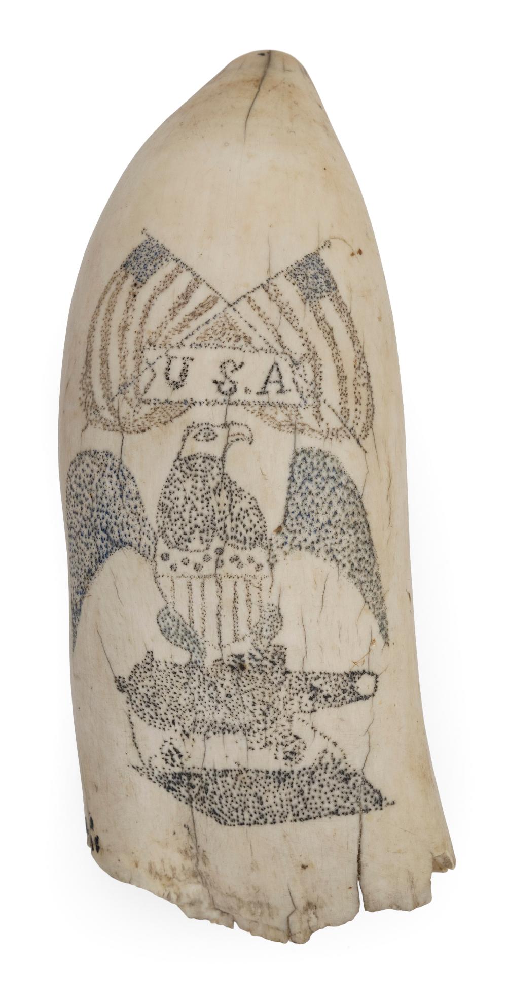 Appraisal: POLYCHROME PINPOINT SCRIMSHAW WHALE'S TOOTH MID- TH CENTURY LENGTH WITH