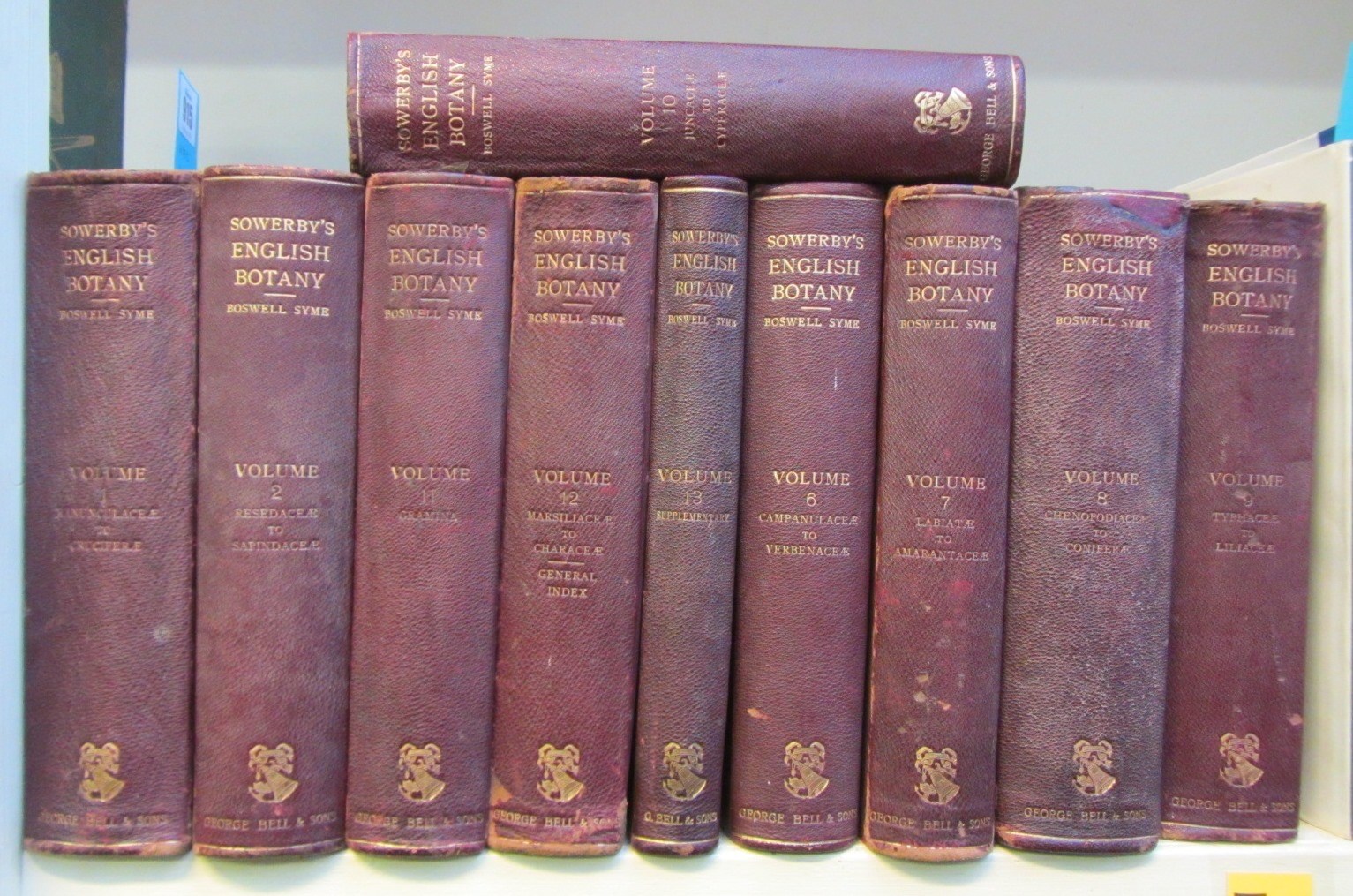 Appraisal: SOWERBY J J E Others English Botany or Coloured Figures