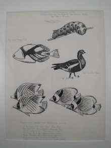 Appraisal: A pencil drawing of ducks in flight signed bottom right