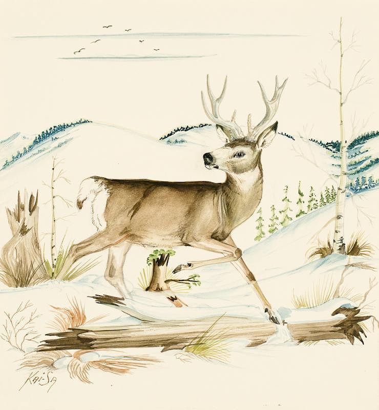 Appraisal: Percy Sandy - The Mule Deer Percy Sandy - The