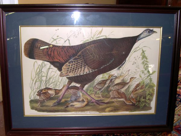 Appraisal: After John James Audubon American - Great American Hen and