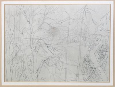 Appraisal: William George Gillies Scottish - Sketch of trees in a