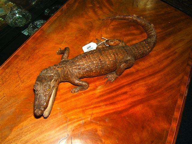 Appraisal: A preserved crocodile in length