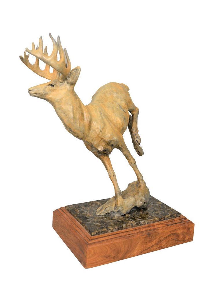 Appraisal: Sherri Salari Sander American b Whitetail Deer bronze with white