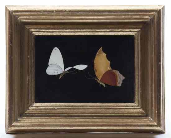 Appraisal: An Italian Pietra Dura Plaque depicting two butterflies framed Height