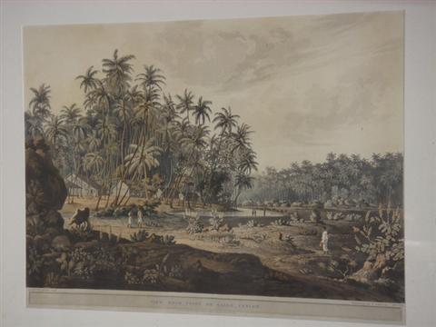 Appraisal: D Havell drawn by Henry Salt colored engraving View Near