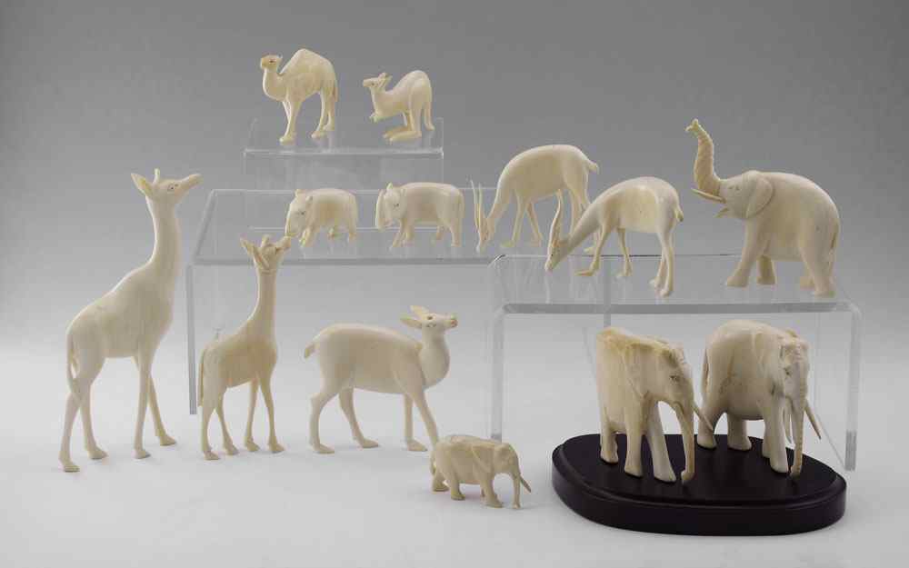 Appraisal: PIECE MENAGERIE OF CARVED IVORY ANIMALS To include elephants ranging